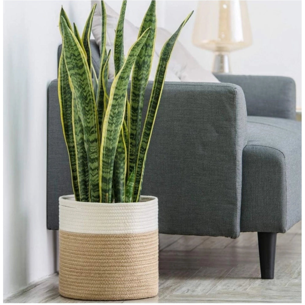 Graceful Cotton Large Woven Storage Basket 11x11 Inch Pack of 1