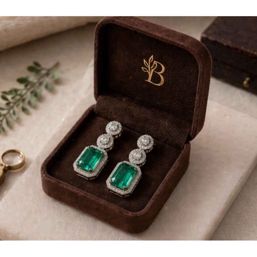 Wonderful Women's Brass Silver Plated Drop Earrings