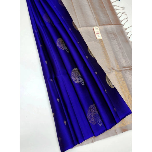 Amazing Borderless Kanjivaram Silk Saree With Blouse piece
