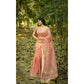 Astonishing Women's Silk Blend Checked Saree With Blouse Piece