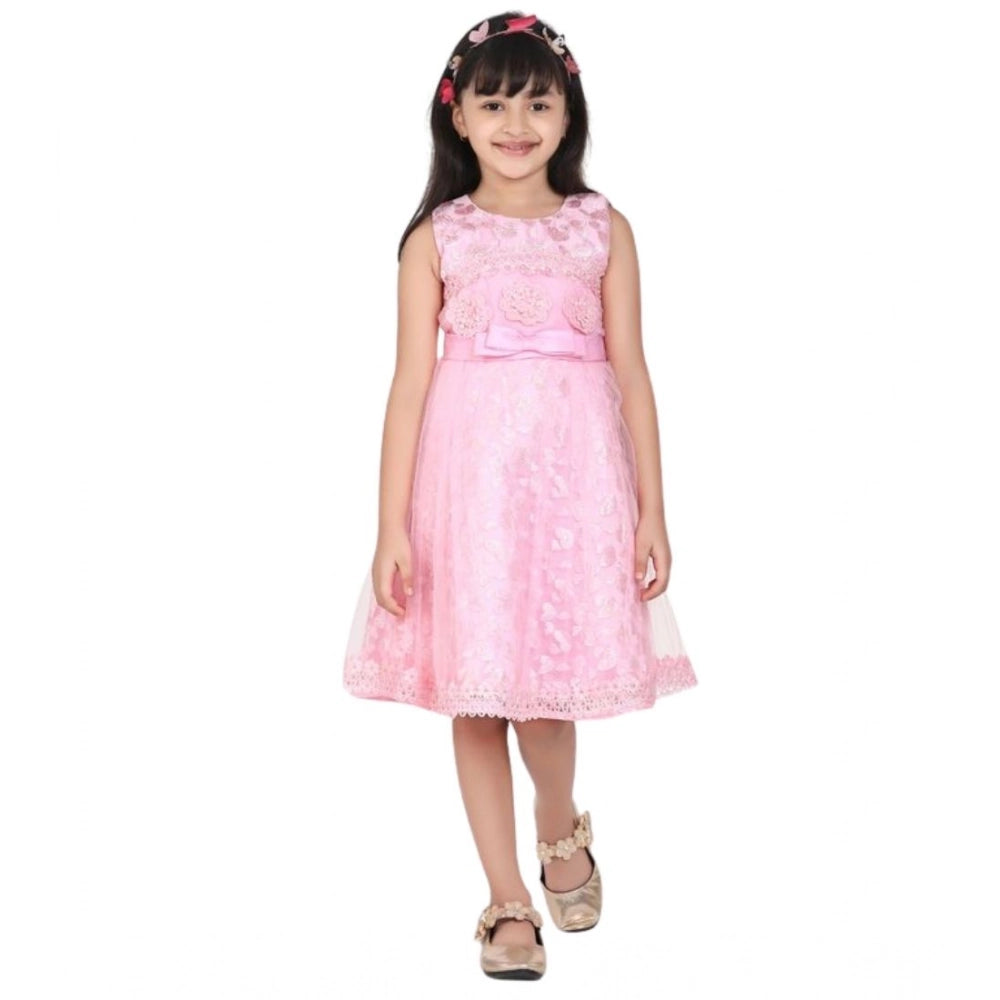 Sophisticated Girl's Net Embroidered Sleeveless Dress