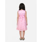 Sophisticated Girl's Net Embroidered Sleeveless Dress