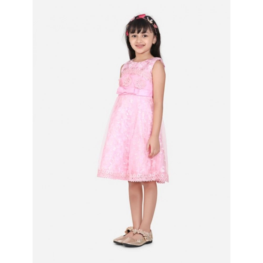 Sophisticated Girl's Net Embroidered Sleeveless Dress