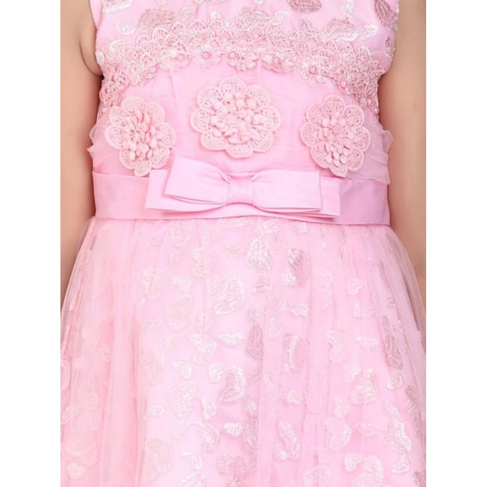 Sophisticated Girl's Net Embroidered Sleeveless Dress