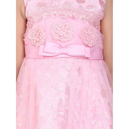 Sophisticated Girl's Net Embroidered Sleeveless Dress